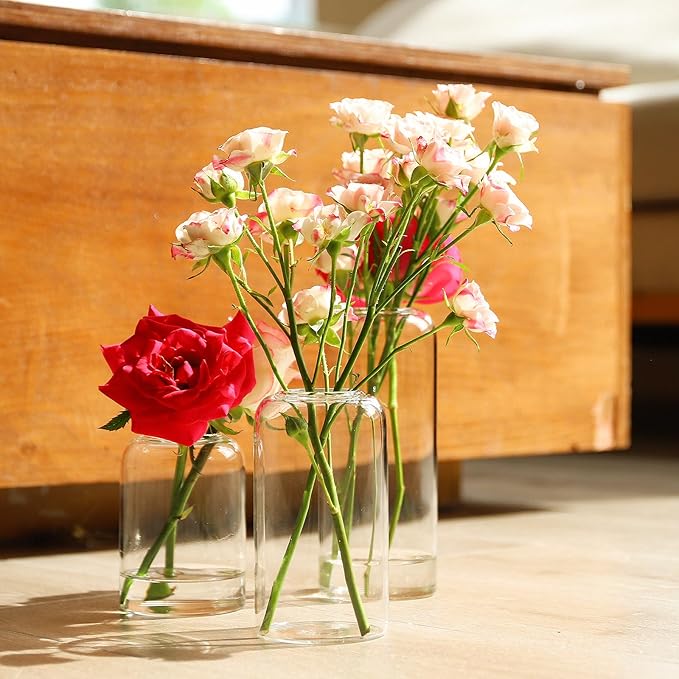 Glass Bud Vases Set of 6, Glass Cylinder Vases - Image 6