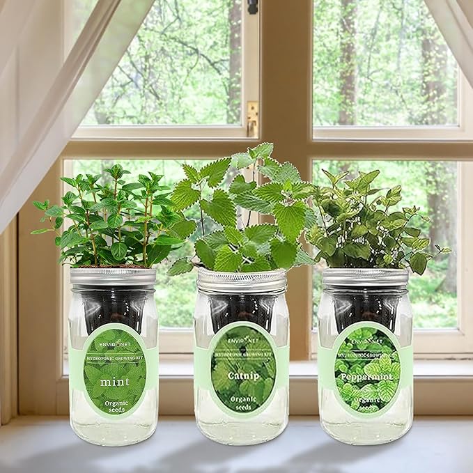 Hydroponic Herb Growing Kit Set, Self-Watering Mason Jar Herb Garden Starter - Image 2