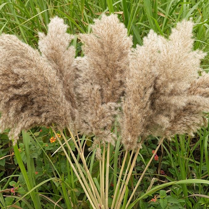 30-inch Tall Nature Pampas Grass Bouquet Decor - Image 2