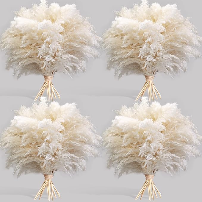 40PCS White Pampas Grass for Home Decor by Unknown