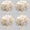 40PCS White Pampas Grass for Home Decor by Unknown