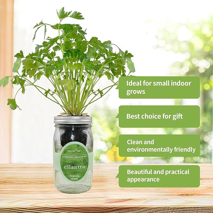 Hydroponic Herb Growing Kit, Self-Watering Mason Jar Window Herb Garden Starter - Image 3