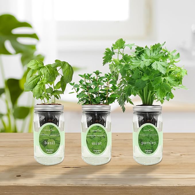 Hydroponic Herb Growing Kit Set, Self-Watering Mason Jar Herb Garden Starter - Image 3