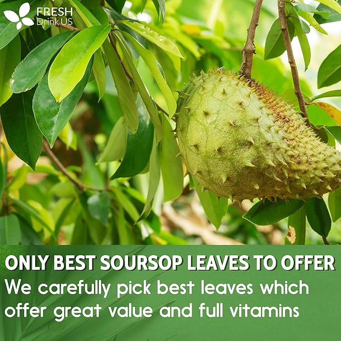 FreshDrinkUS, 120+ Premium Soursop Graviola Dried Leaves Tea, 40 Cups, 120-130 - Image 6