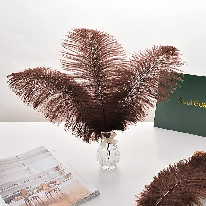Ballinger Brown Big Ostrich Feathers - Image 5