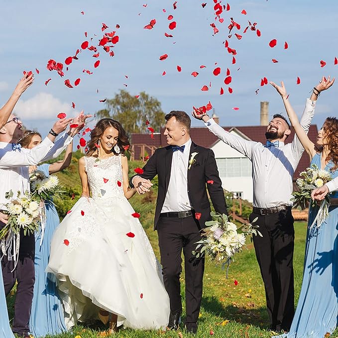 300pcs Artificial Red Rose Petals - Image 6