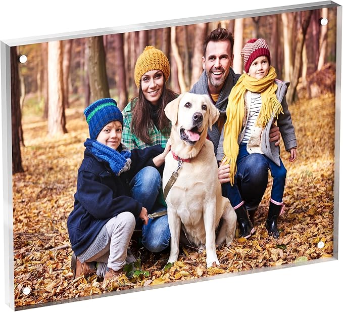 6x8 Acrylic Picture Frame 1 Pack, Desktop Display Decor Gift by Neatsure