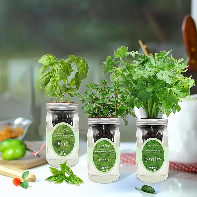 Hydroponic Herb Growing Kit Set, Self-Watering Mason Jar Herb Garden Starter - Image 4