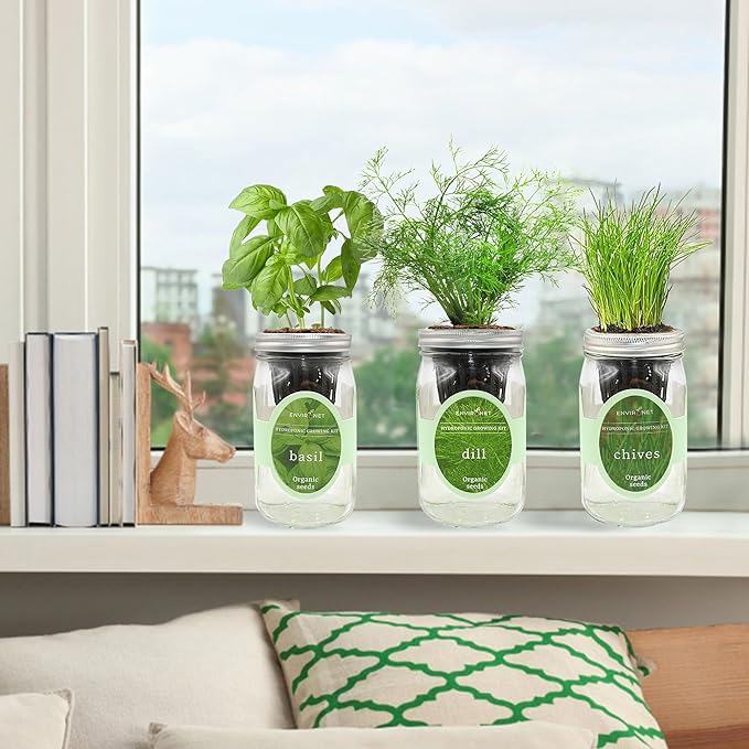 Hydroponic Herb Growing Kit Set, Self-Watering Mason Jar Herb Garden Starter - Image 4