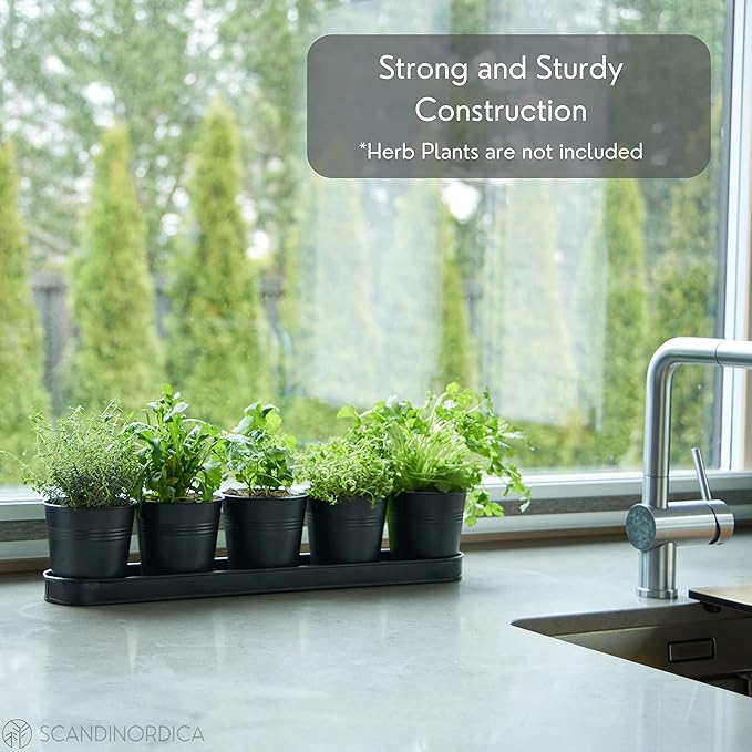 SCANDINORDICA Black Herb Planter – 5 Pots - Image 4
