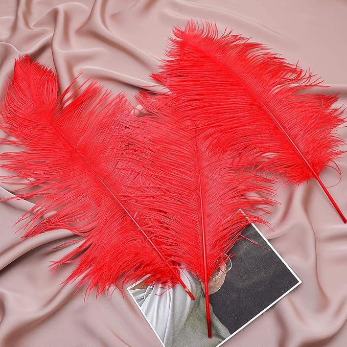 24pcs Natural Bright Red Ostrich Feathers 10-12inch - Image 7