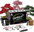 5 Bonsai Tree Kit Complete Plant Growing Tools, Grow in Pot Indoor Bonsai Tree by Meekear-BEWITHYOU