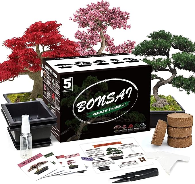 5 Bonsai Tree Kit Complete Plant Growing Tools, Grow in Pot Indoor Bonsai Tree by Meekear-BEWITHYOU