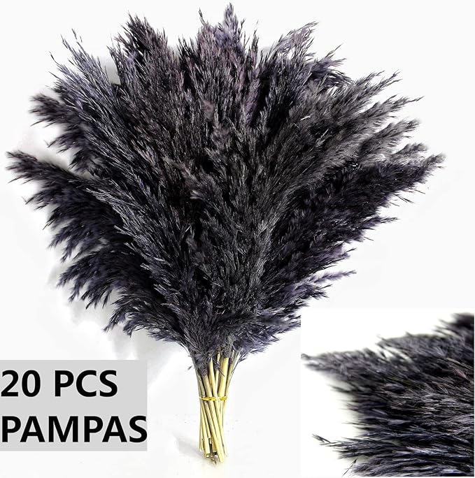 Black Pampas Grass for Home Decor - Image 5