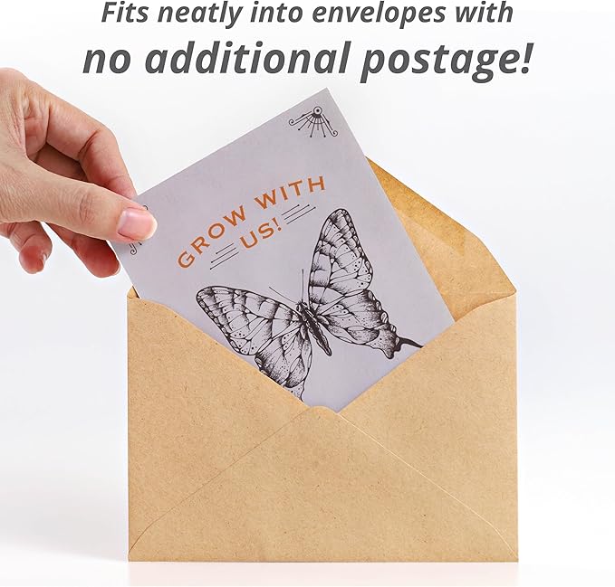 Bentley Seeds Grow with Us Pre Filled Butterfly Mix Seed Packets - Image 3