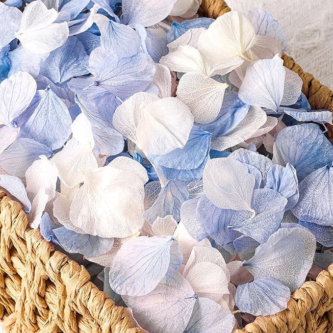 VAIPI 2500 PCS Hydrangea Petals 100% Natural Real Flower Petals by VAIPI