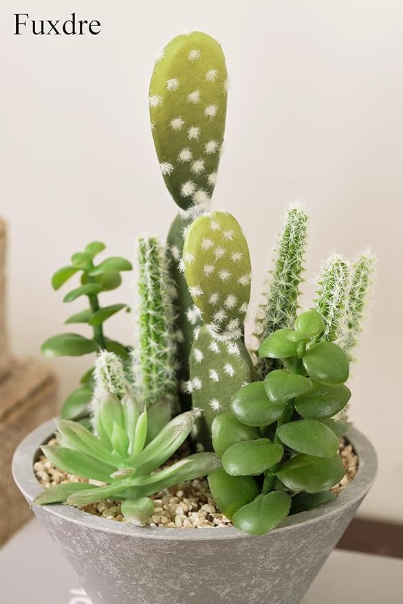 2-Pack Artificial Succulent Plants in Vintage Plastic Pots - Image 9
