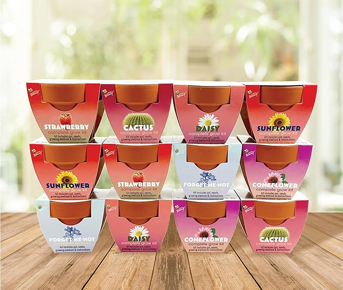 BUZZY Seeds Terracotta Mini Grow Pots | Herb, Flower Starter Kit - Image 6