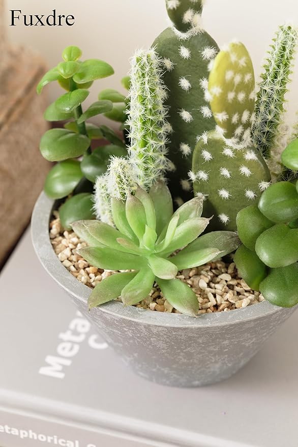 2-Pack Artificial Succulent Plants in Vintage Plastic Pots - Image 8