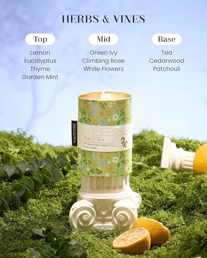 M&SENSE Herbs Vines Scented Candle, Medium Jar Candle 11.3oz Natural Soy Wax - Image 2