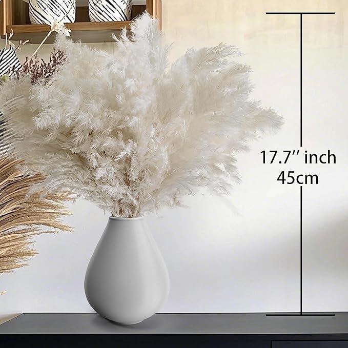 40PCS White Pampas Grass for Home Decor - Image 3