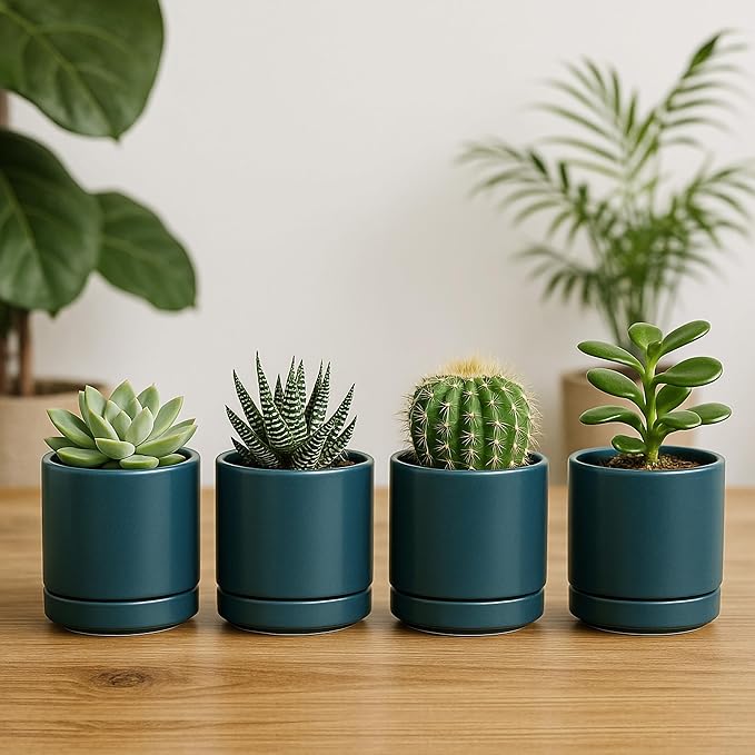 D'vine Dev Set of 4 Small Ceramic Plant Pots, 3.5 Inch Succulent Planter Pot - Image 3