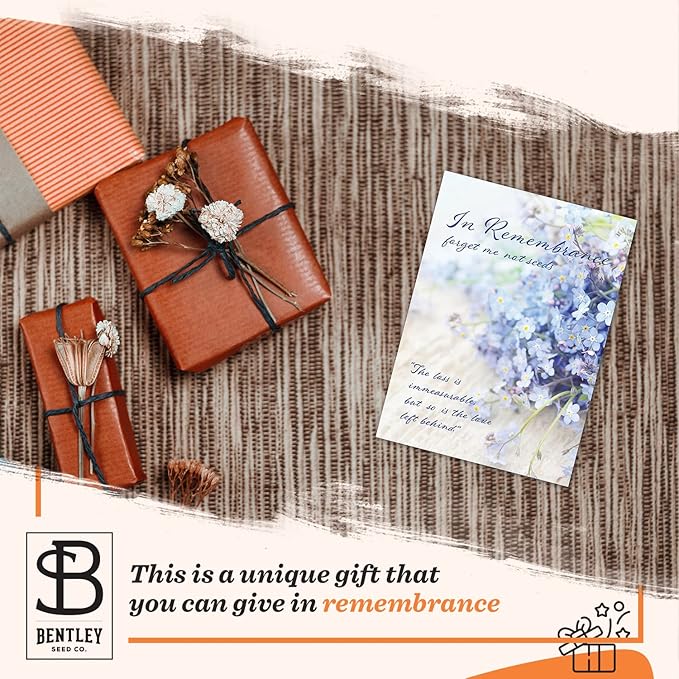 Bentley Seed Co. | in Remembrance Love Left Behind Non-GMO, Non-Coated Forget - Image 5