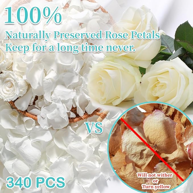 Real Ivory Rose Petals, Frozen Preserved Petals for, Wedding Party Decorations - Image 2