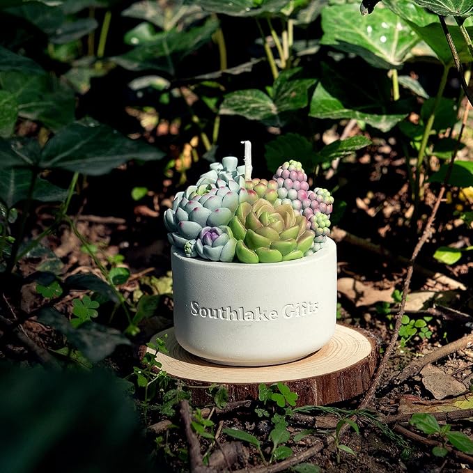 Assorted Succulent Pot Scented Candle - Image 6
