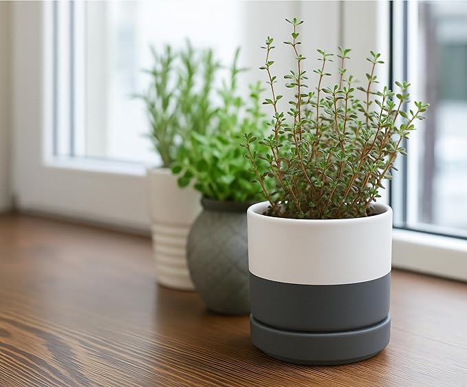 D'vine Dev Set of 4 Small Ceramic Plant Pots, 4.7 Inch Succulent Planter Pot - Image 7
