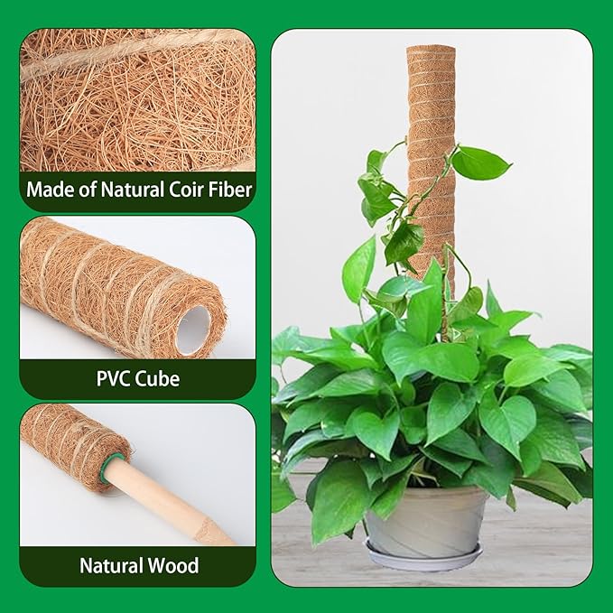 6 Pack Moss Poles for Monstera Plant Support – Stackable Moss Pole for Plants - Image 3
