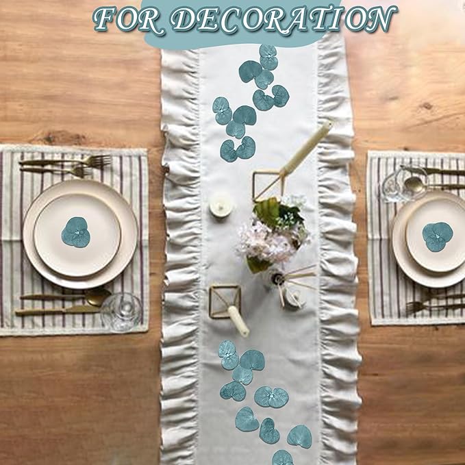 3200Preserved Real Eucalyptus Leaves Small, Pure Natural Bulk Eucalyptus - Image 2