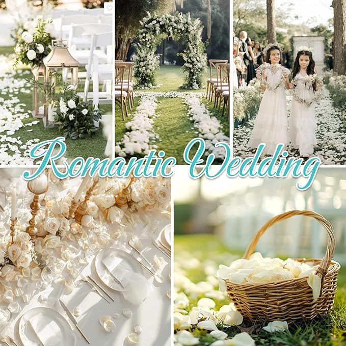 Real Dried Ivory White Rose Petals, Frozen Preserved Petals for, Wedding Party - Image 4