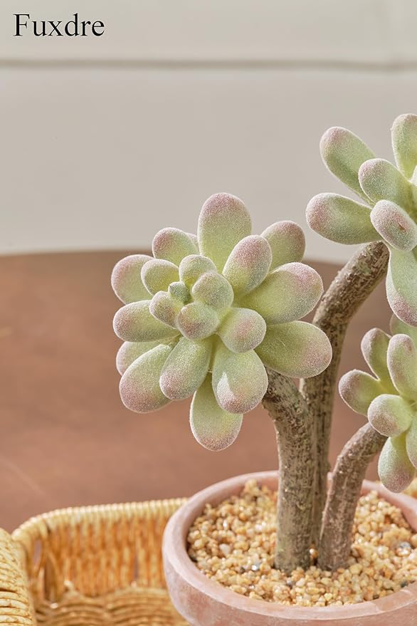 2-Pack Artificial Succulent Plants in Vintage Plastic Pots - Image 7