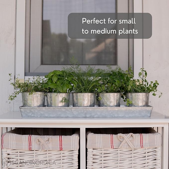 SCANDINORDICA Galvanized Metal Herb Planter, 5 Pots - Image 7