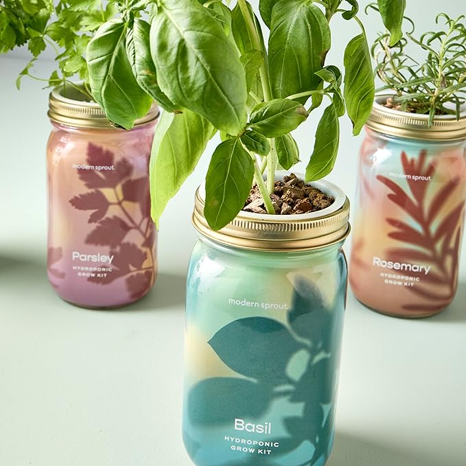 Modern Sprout Mason Garden Jar - Image 10