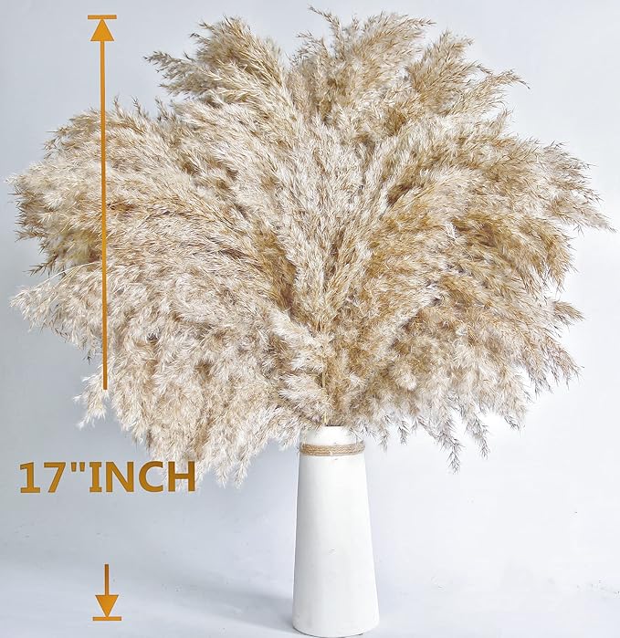 40 PCS Nature Pampas Grass Bouquet Decor - Image 6
