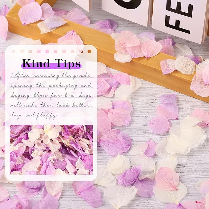 2500 PCS Purple and White Hydrangea Petals 100% Natural Real Flower Petals - Image 3