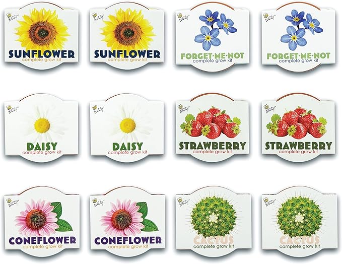 BUZZY Seeds Terracotta Mini Grow Pots | Herb, Flower Starter Kit - Image 2