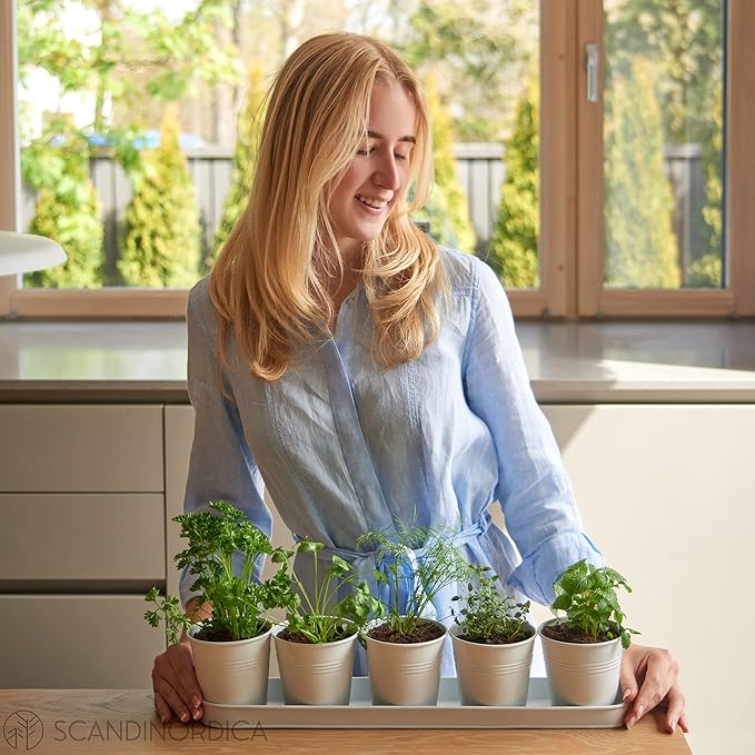 SCANDINORDICA White Herb Planter 5 Pots - Image 5