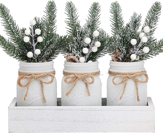 Mason Jars by Winter White, 3 Decorative Jars by SUPREMELIGHTS%C2%B72017%C2%B7