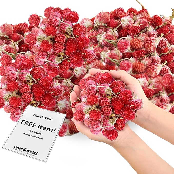 Dried Flower Red Plum Biodegradable Confetti by JAPJA