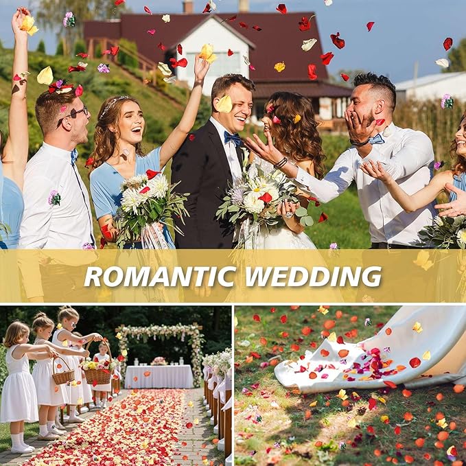 20+ Cups Real Dried Flower Petals, Biodegradable Wedding Flower Confetti - Image 5