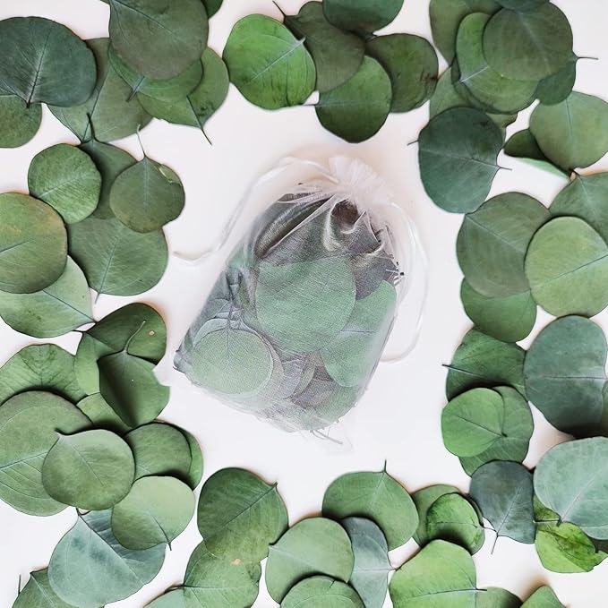 300+ Pcs Dried Real Eucalyptus Leaves, Rustic Boho Wedding Table Decor - Image 3