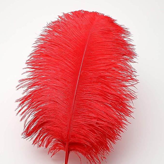 24pcs Natural Bright Red Ostrich Feathers 10-12inch - Image 2