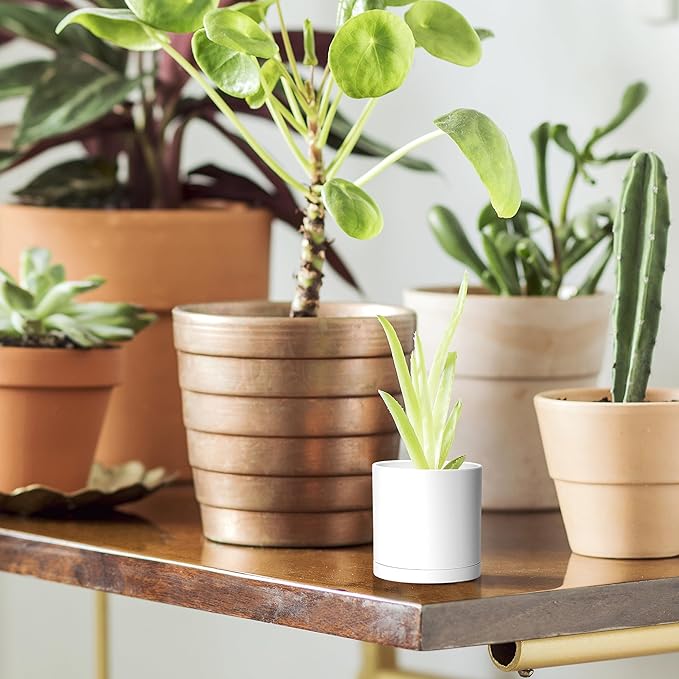 D'vine Dev 24 Pack 2 Inch Mini Plastic Plant Pots, Small Garden Planters - Image 6