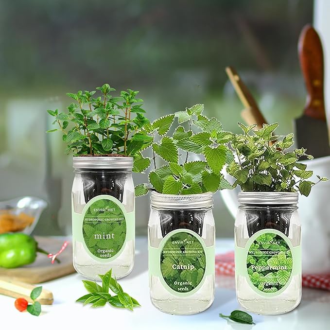 Hydroponic Herb Growing Kit Set, Self-Watering Mason Jar Herb Garden Starter - Image 5