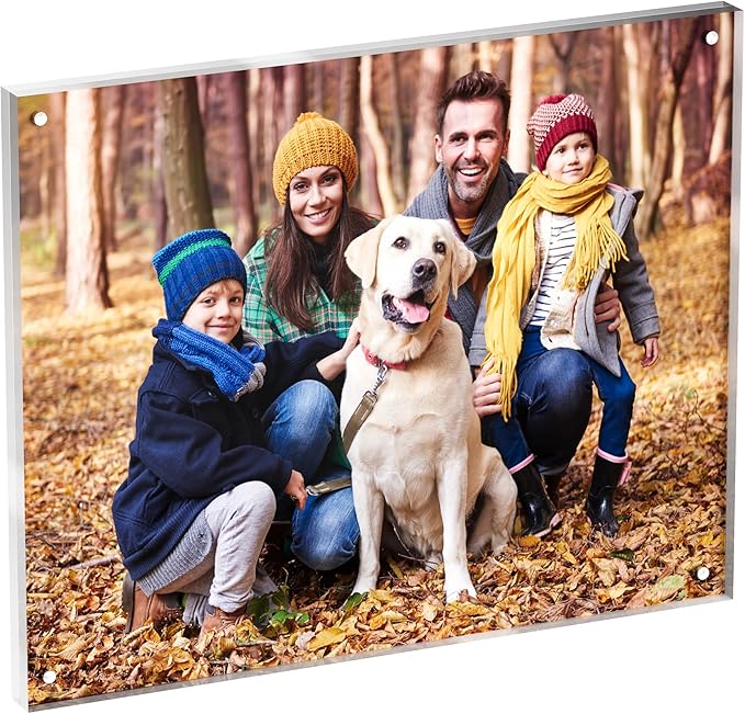 8x10 Acrylic Picture Frame 1 Pack, Desktop Display Decor Gift by Neatsure