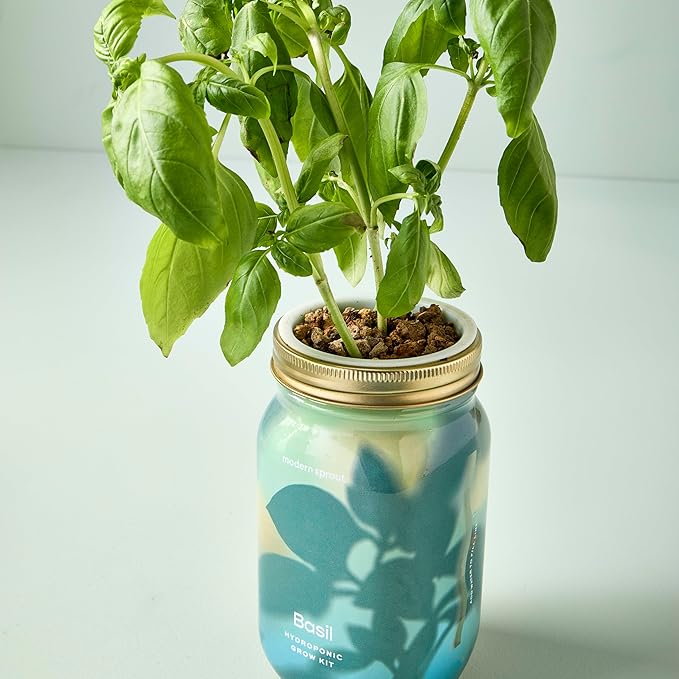 Modern Sprout Mason Garden Jar - Image 9