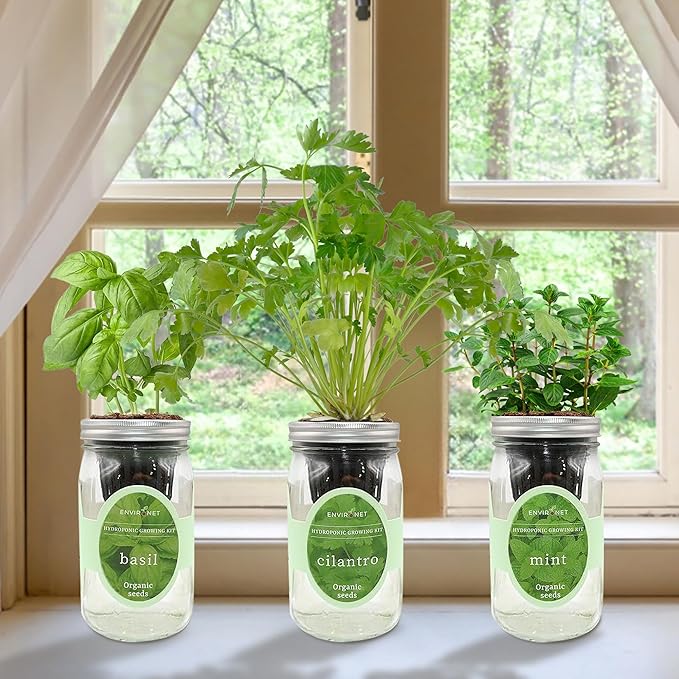 Hydroponic Herb Growing Kit Set, Self-Watering Mason Jar Herb Garden Starter - Image 2